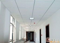 松江厂房装修与吊顶隔墙工程服务解析